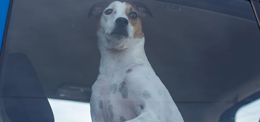 Car Lockout Solutions in Calimesa, California