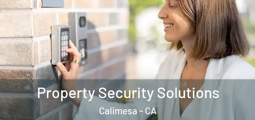  Property Security Solutions Calimesa - CA